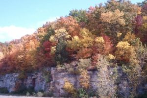 High Cliff State Park